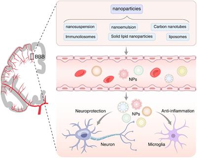 Nanoparticles loaded with natural medicines for the treatment of Alzheimer’s disease